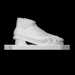 Fragment of a female foot