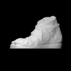 Fragment of a man's foot