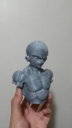 Frieza bust sample print