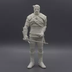 Geralt of Rivia / Witcher 3 / 3d stl model