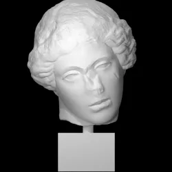 Head of an Amazon
