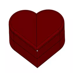 Heart Shaped Box