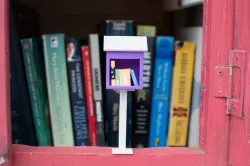Little Little Free Library
