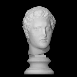 Male Head