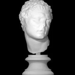 Male Head