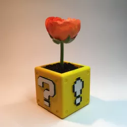 Mario Block Planter