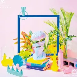 Materialize─Potted