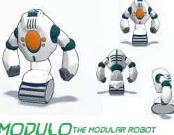 Modulo