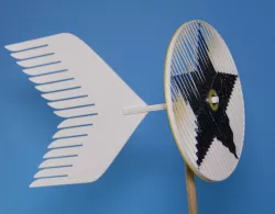 Moire Pinwheel
