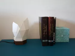 Nice desk lamp