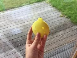 Ocarina