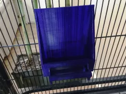 One Compartment Animal Feeder