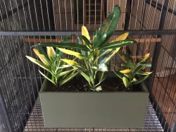 Plant Container for Cage