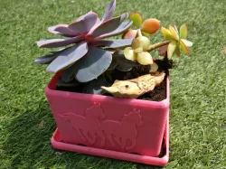 Plant tray horse @BQ_3d