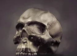 Realistic anatomic art Skull 3d printable - high quality details