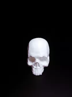 Skull 3D