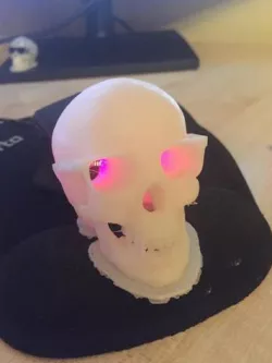 Skull in Raybans
