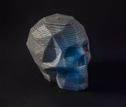 Springo Skull