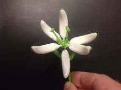 Stargazer Lily (Sort of)