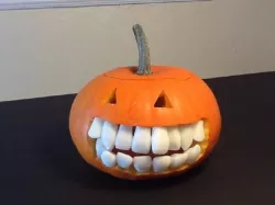 Teeth