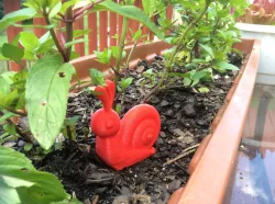 The Snail