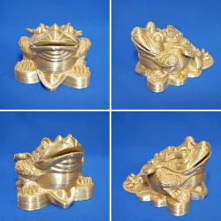 Toad maney bank(fix the back fingernail & buttom surface)