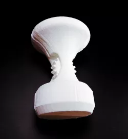 trophy for competition