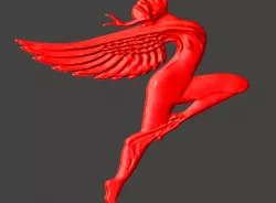 Wings