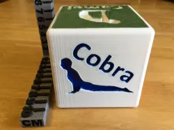 Yoga Dice