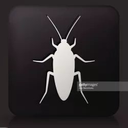 3D print your very own cockroach!