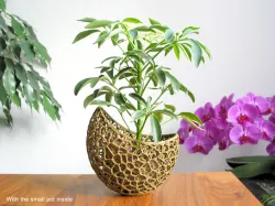 A burgeoning capsule Planter (2-color/part version)