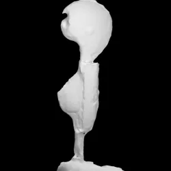 After Oskar Schlemmer - Caz Egelie