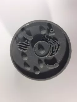 Animal Cell Model