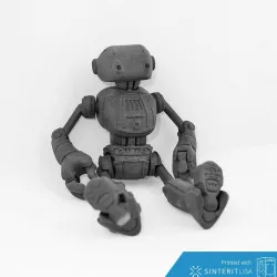 Ankly Robot - 3d Printed Assembled