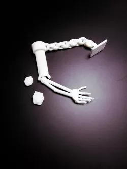 Bone in Broken-Off Shackles