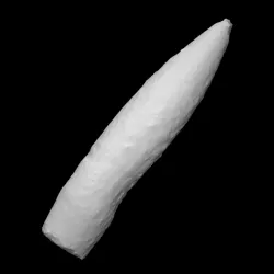 Bullet