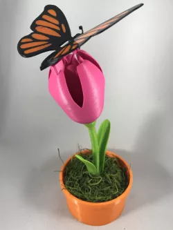 Butterfly, Animated