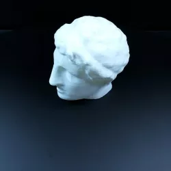 cambridge-head-of-demetrios-polio filtered