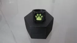 Chat Noir's Ring