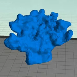 Coral