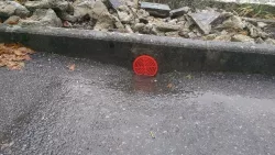 customizable leaf stoper