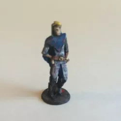 Darvim the Elf Rogue