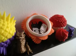 Dragon Egg Boxes