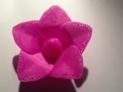earrings holder