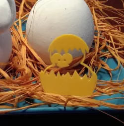 Egg chicken
