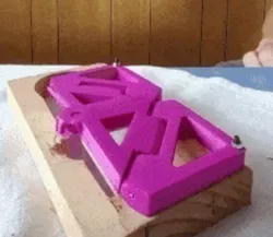 Evolution Door