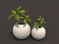 FLOWER POT