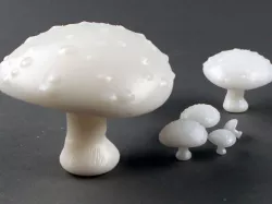 Forest Mushrooms