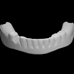 George Washington's False Teeth - Bottom Half
