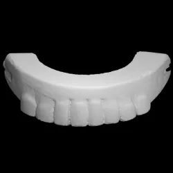 George Washington's False Teeth - Top Half